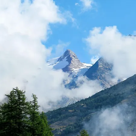 Apartament Aster By Interhome