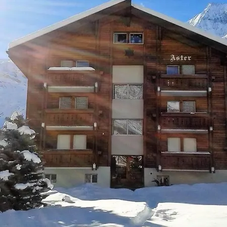 Aster By Interhome Saas-Fee